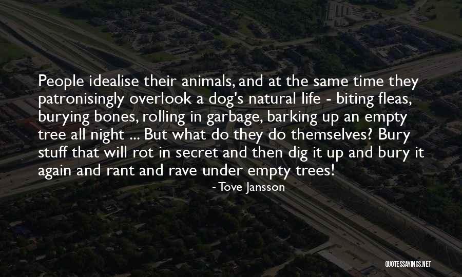 Rave Life Quotes By Tove Jansson Rave Life Quotes By Tove Jansson