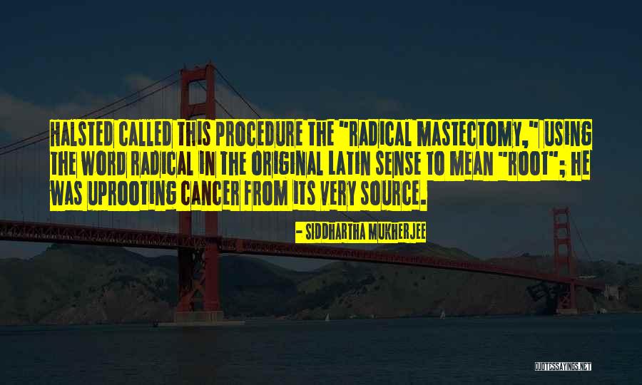 Raven Wingspan Quotes By Siddhartha Mukherjee Raven Wingspan Quotes By Siddhartha Mukherjee