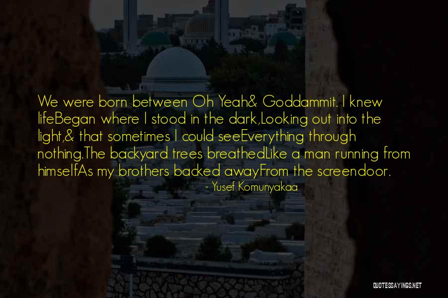 Ravenpaw And Tigerclaw Quotes By Yusef Komunyakaa Ravenpaw And Tigerclaw Quotes By Yusef Komunyakaa