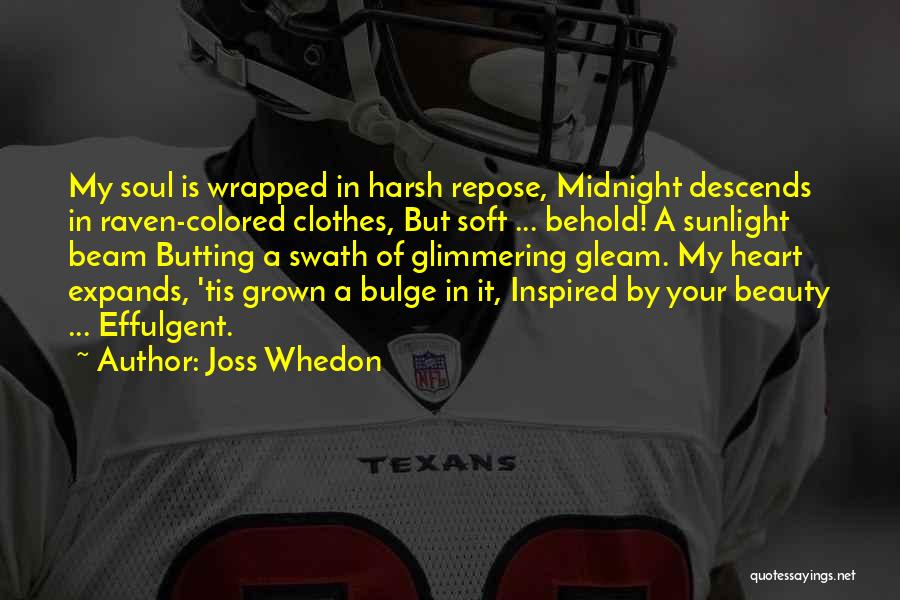 Ravens Quotes By Joss Whedon