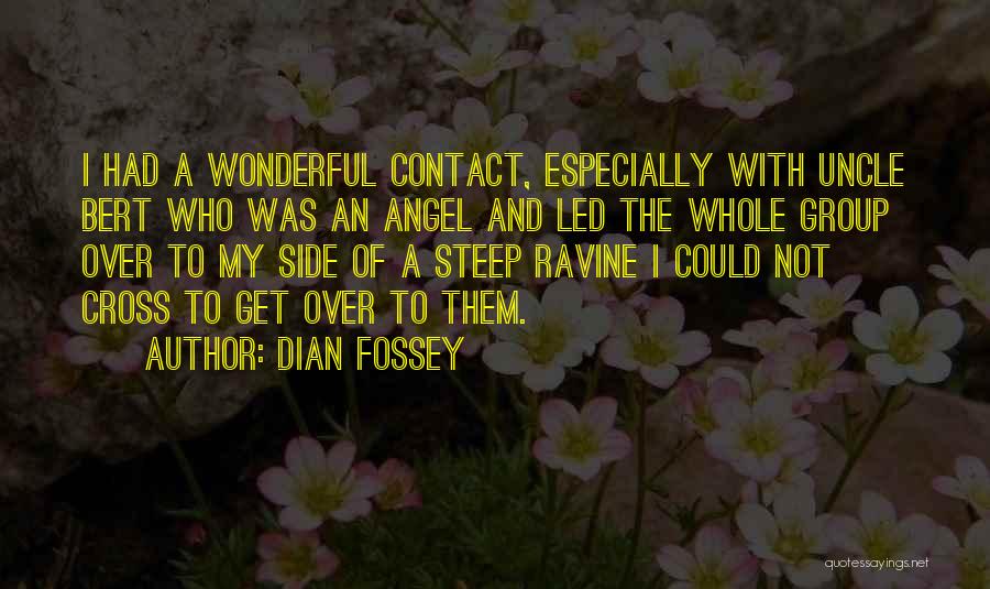 Ravine Quotes By Dian Fossey