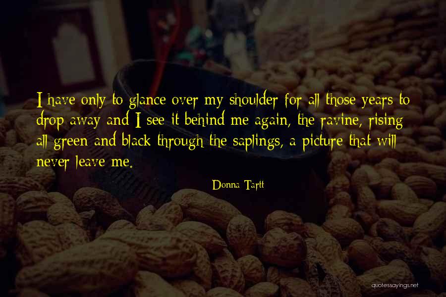 Ravine Quotes By Donna Tartt