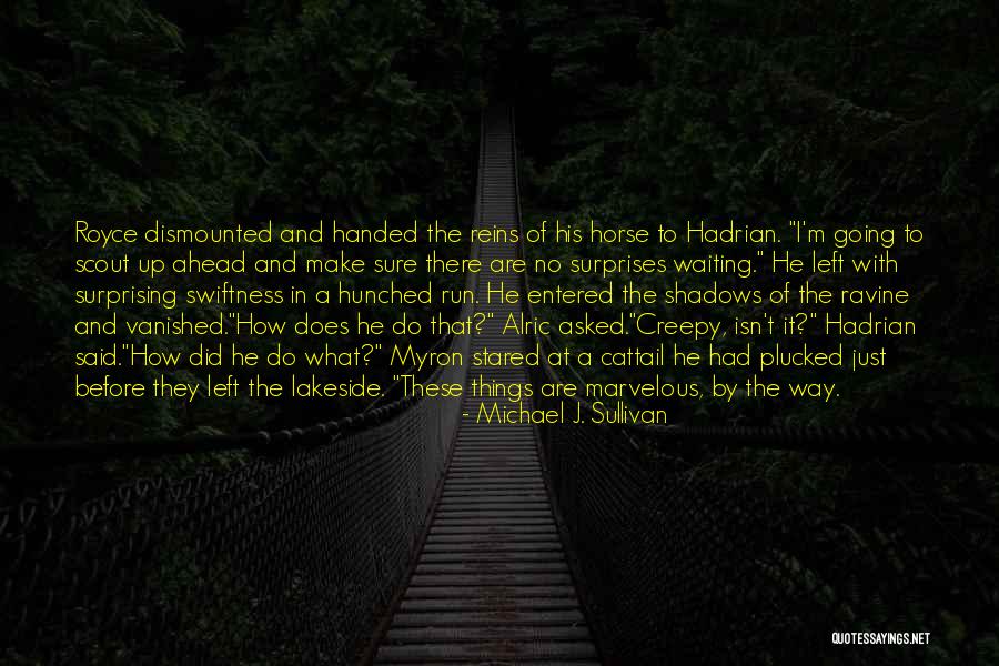 Ravine Quotes By Michael J. Sullivan