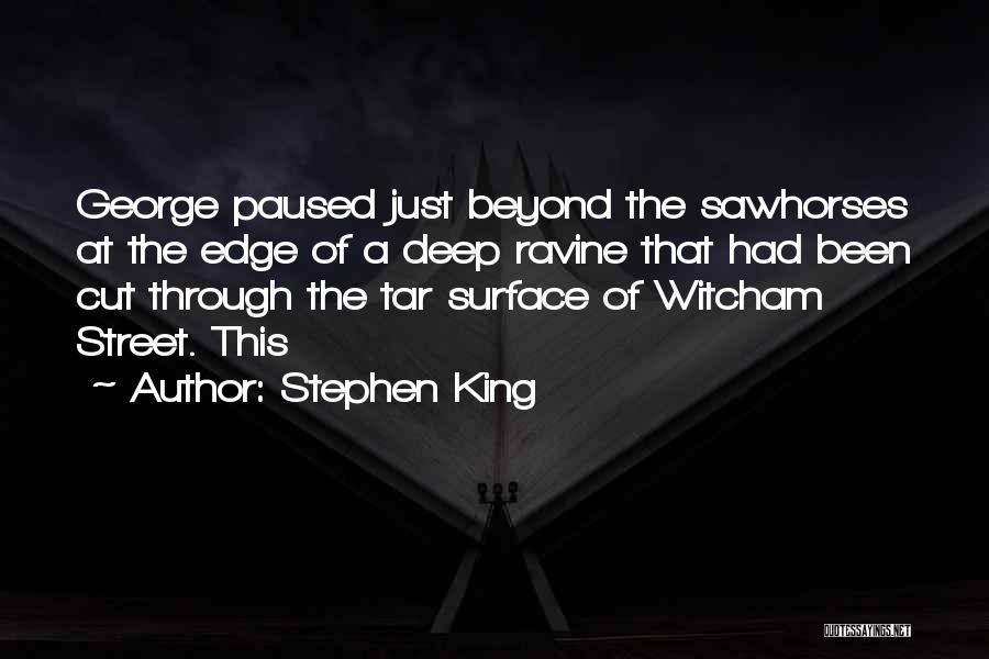Ravine Quotes By Stephen King