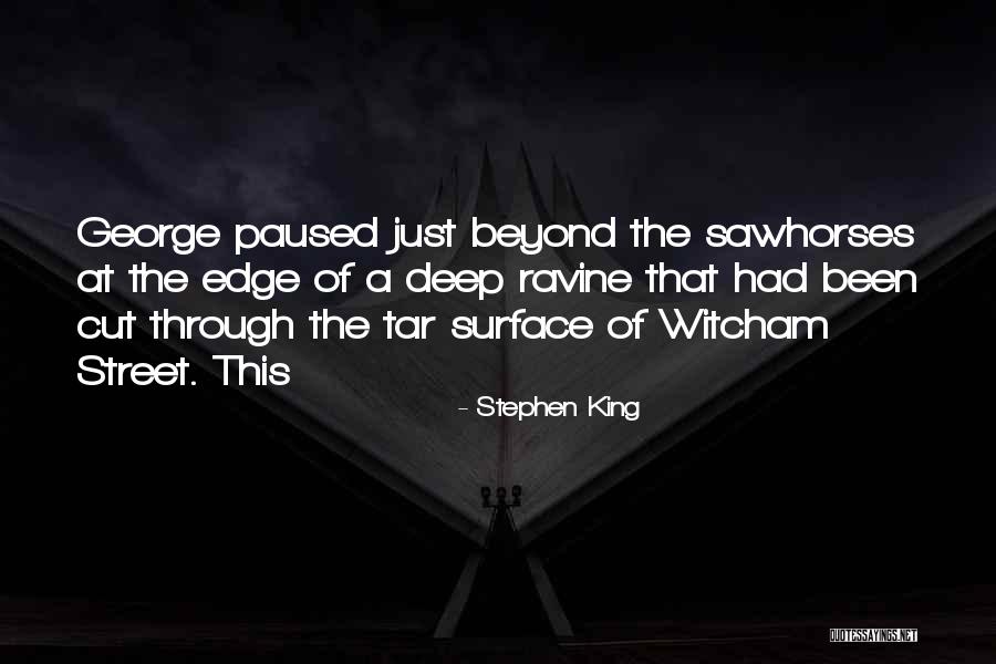 Ravine Quotes By Stephen King