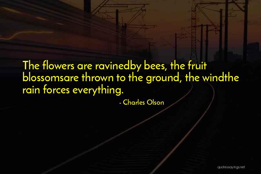 Ravined Quotes By Charles Olson Ravined Quotes By Charles Olson