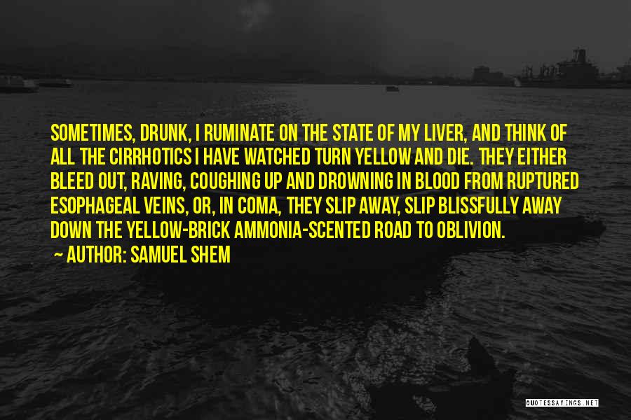 Raving Quotes By Samuel Shem