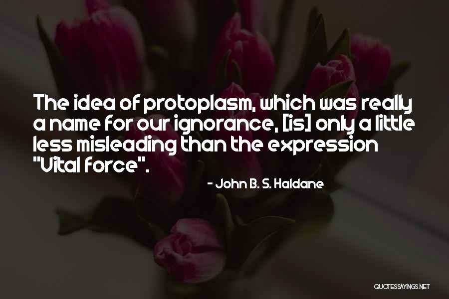 Ravinous Kitchen Quotes By John B. S. Haldane Ravinous Kitchen Quotes By John B. S. Haldane