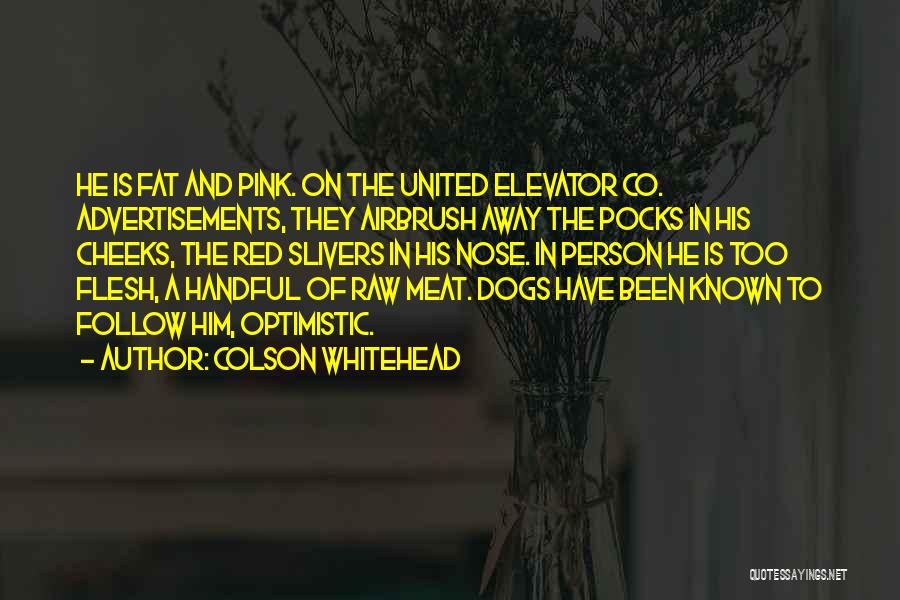 Raw Meat Quotes By Colson Whitehead