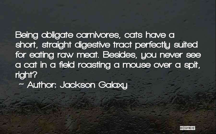 Raw Meat Quotes By Jackson Galaxy