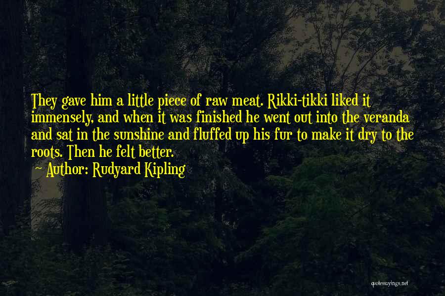 Raw Meat Quotes By Rudyard Kipling