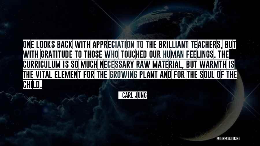 Raw Quotes By Carl Jung