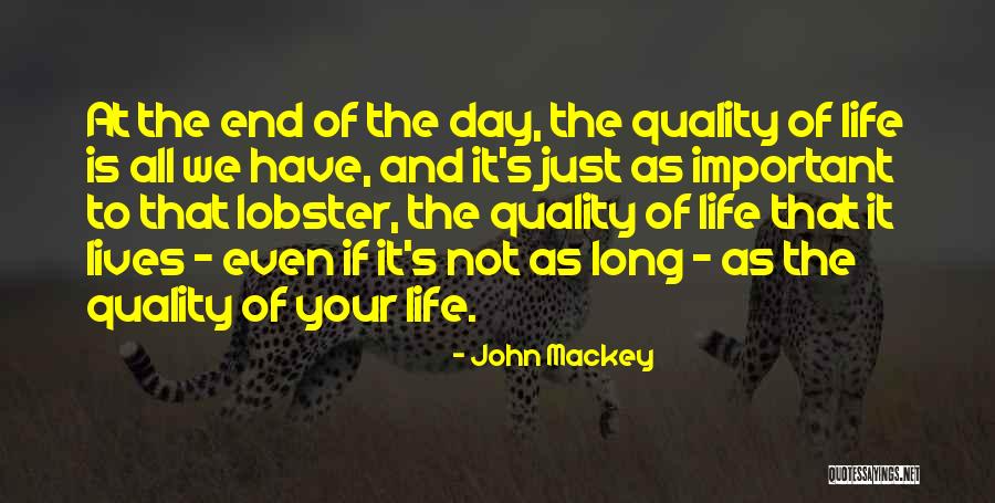 Rawdon Cottages Quotes By John Mackey Rawdon Cottages Quotes By John Mackey