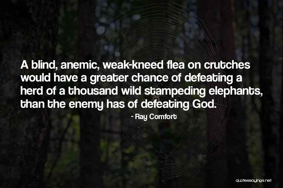 Ray Comfort Quotes 656152