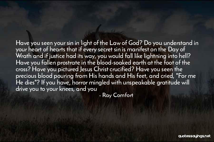 Ray Comfort Quotes 775256