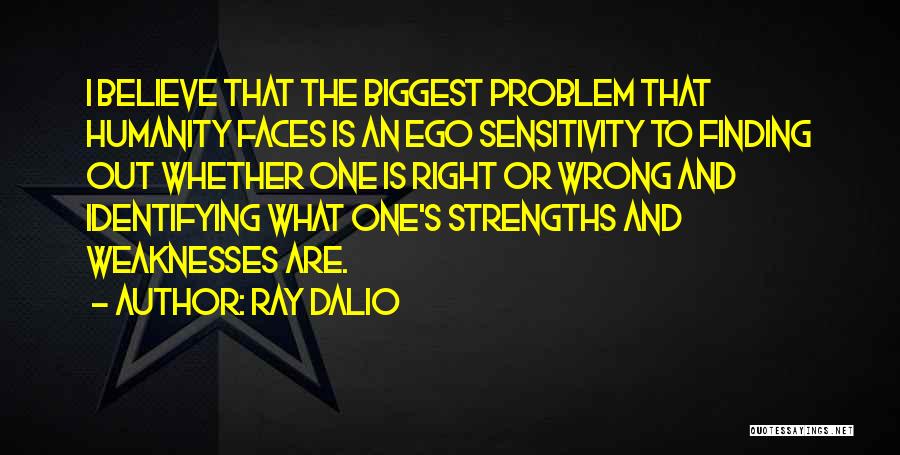 Ray Dalio Quotes 412532