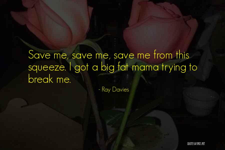 Ray Davies Quotes 1272353