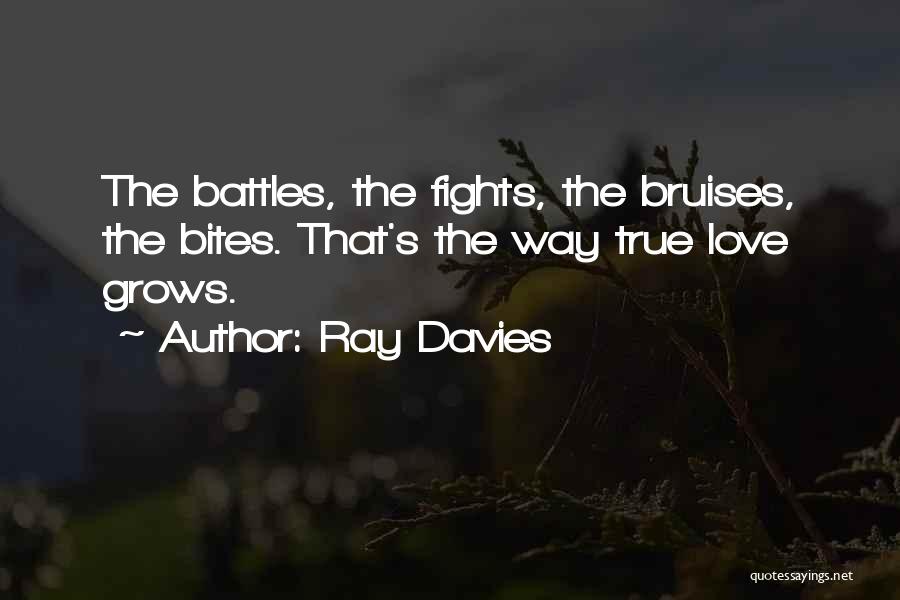 Ray Davies Quotes 1582608