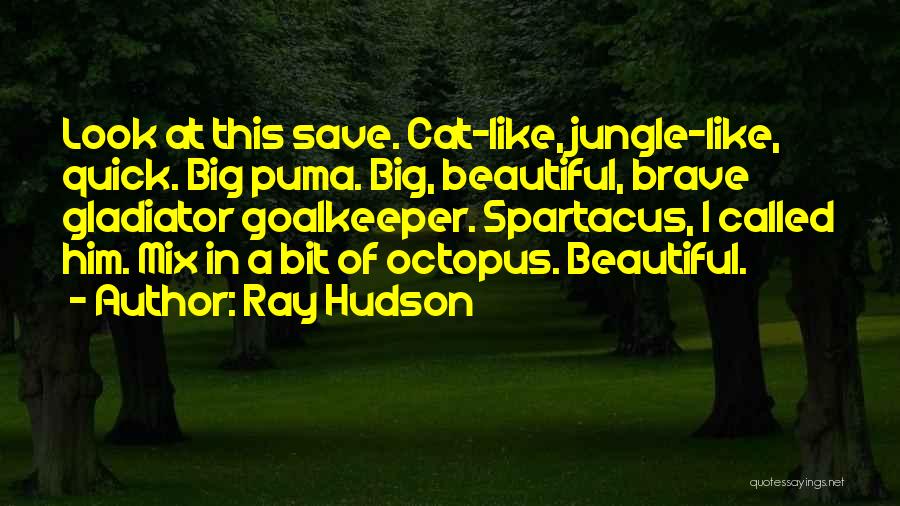 Ray Hudson Quotes 1571079