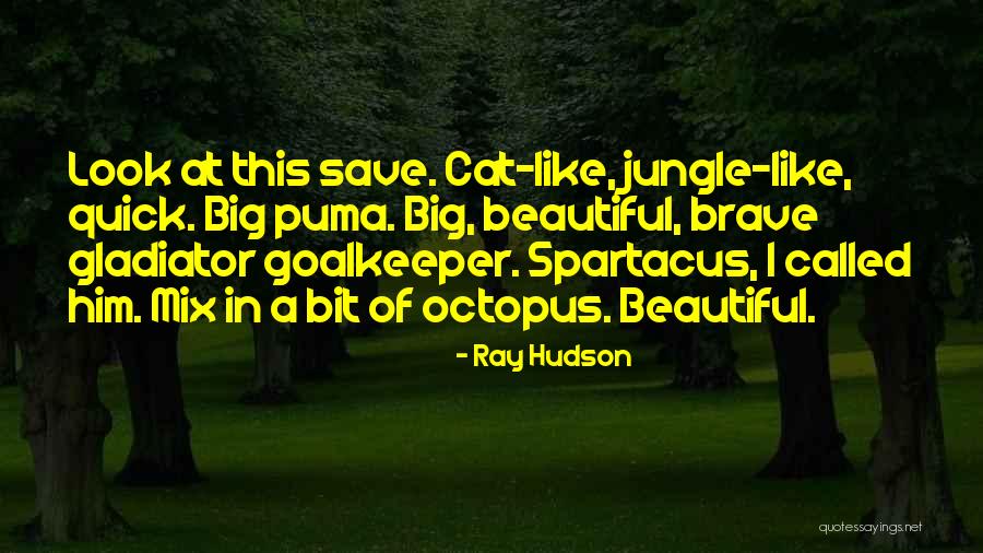 Ray Hudson Quotes 1571079