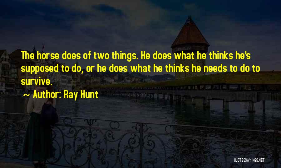 Ray Hunt Quotes 332785