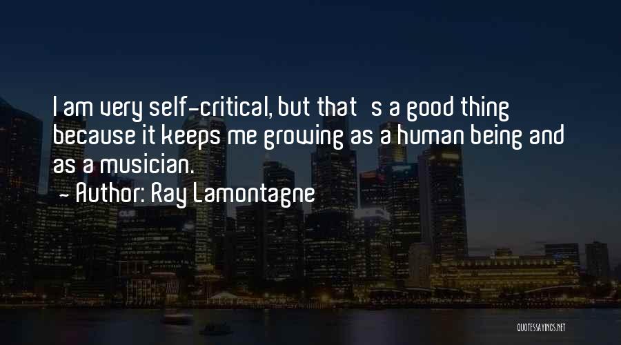 Ray Lamontagne Quotes 1015728