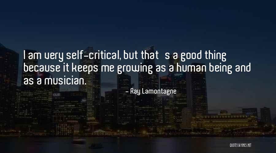 Ray Lamontagne Quotes 1015728