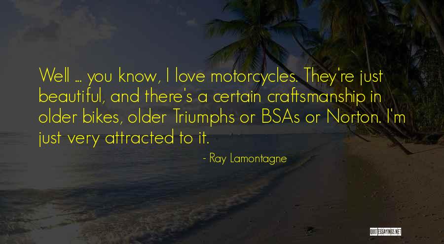 Ray Lamontagne Quotes 1401689