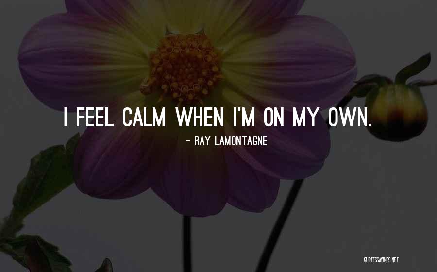 Ray Lamontagne Quotes 1409314 Ray Lamontagne Quotes 1409314