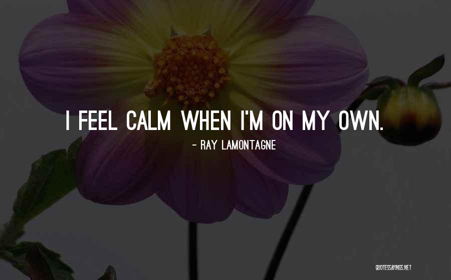 Ray Lamontagne Quotes 1409314