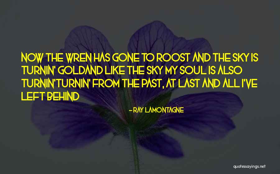 Ray Lamontagne Quotes 2245457