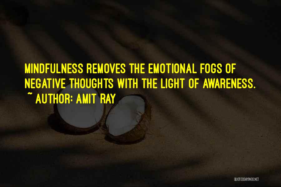 Ray Of Light Quotes By Amit Ray