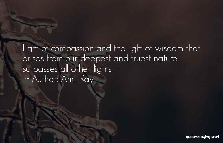 Ray Of Light Quotes By Amit Ray