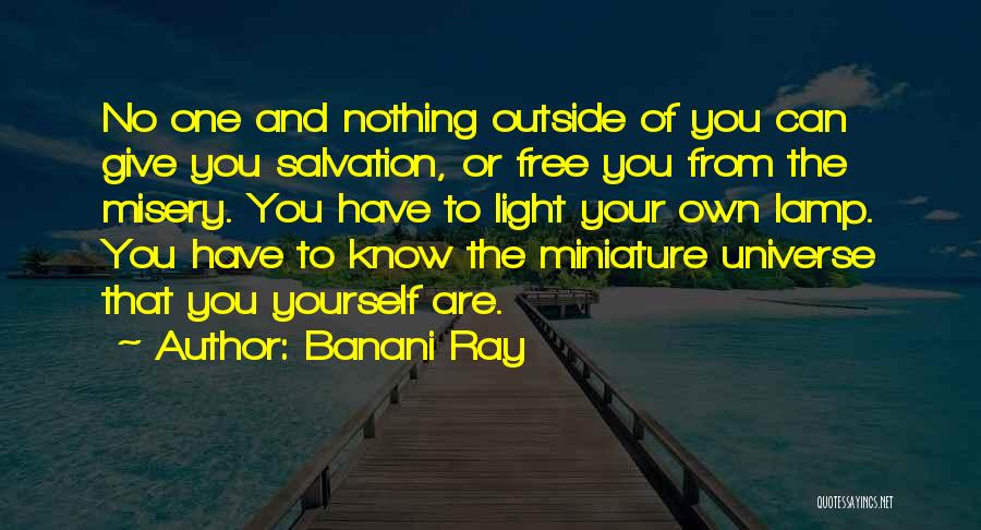 Ray Of Light Quotes By Banani Ray