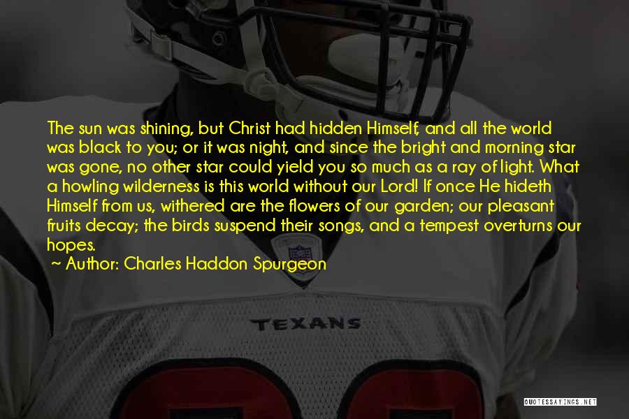 Ray Of Light Quotes By Charles Haddon Spurgeon