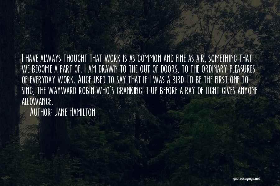 Ray Of Light Quotes By Jane Hamilton