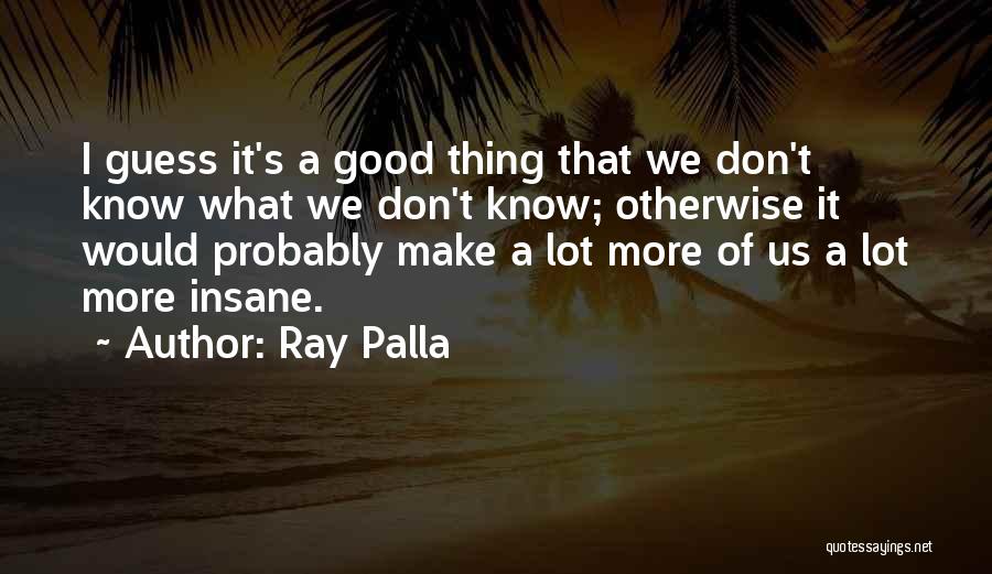 Ray Palla Quotes 1357469