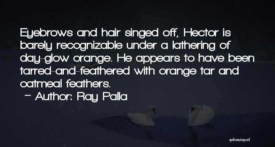 Ray Palla Quotes 1624185
