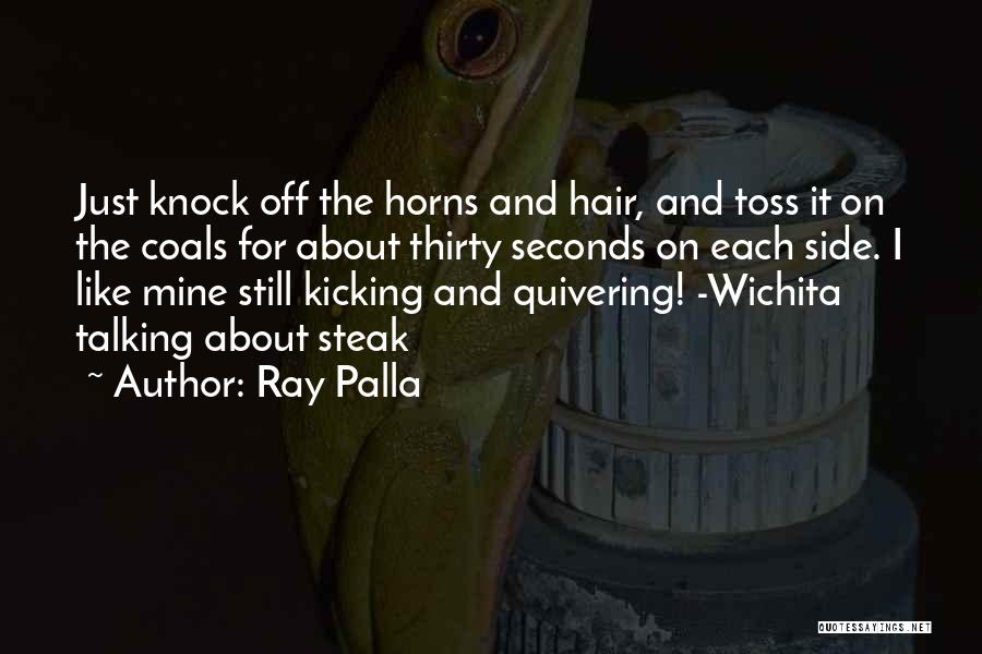 Ray Palla Quotes 1827489