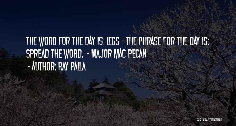 Ray Palla Quotes 186393