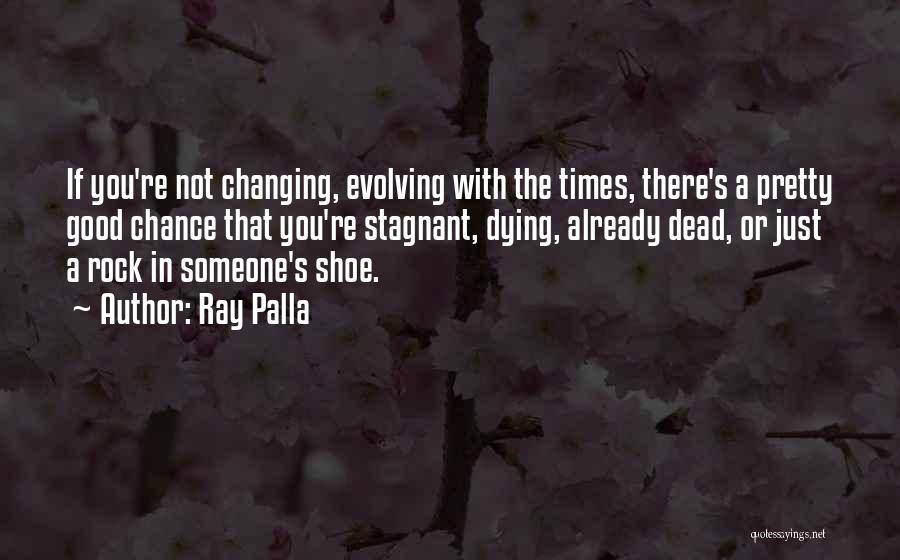 Ray Palla Quotes 2071381