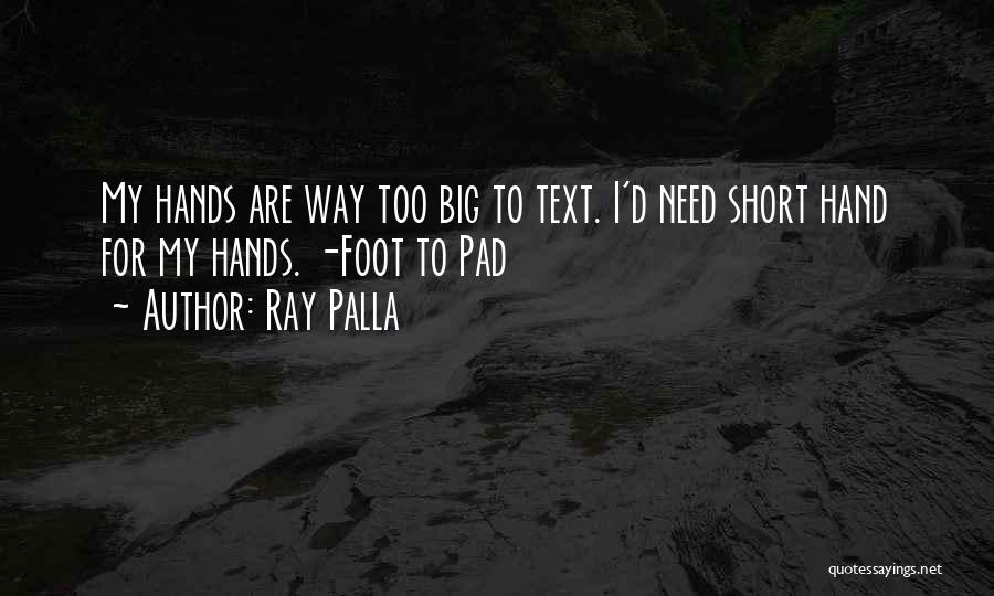 Ray Palla Quotes 853355