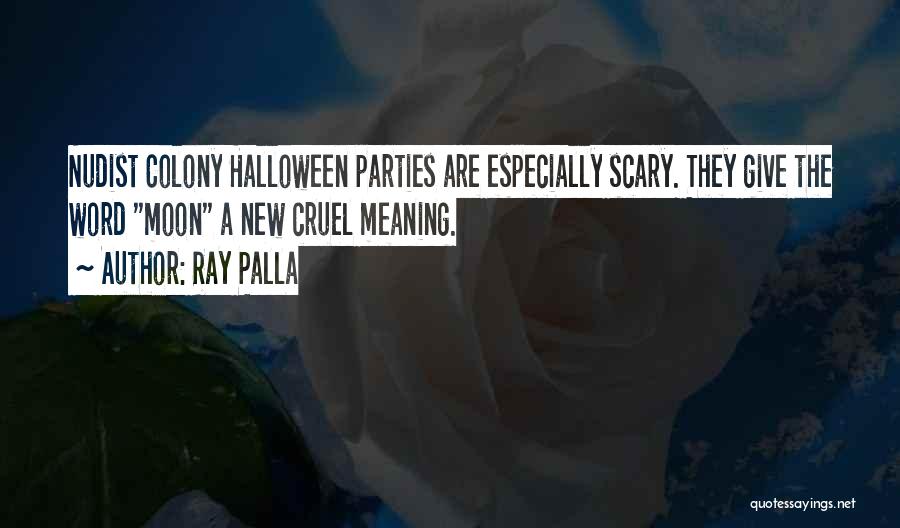 Ray Palla Quotes 985551