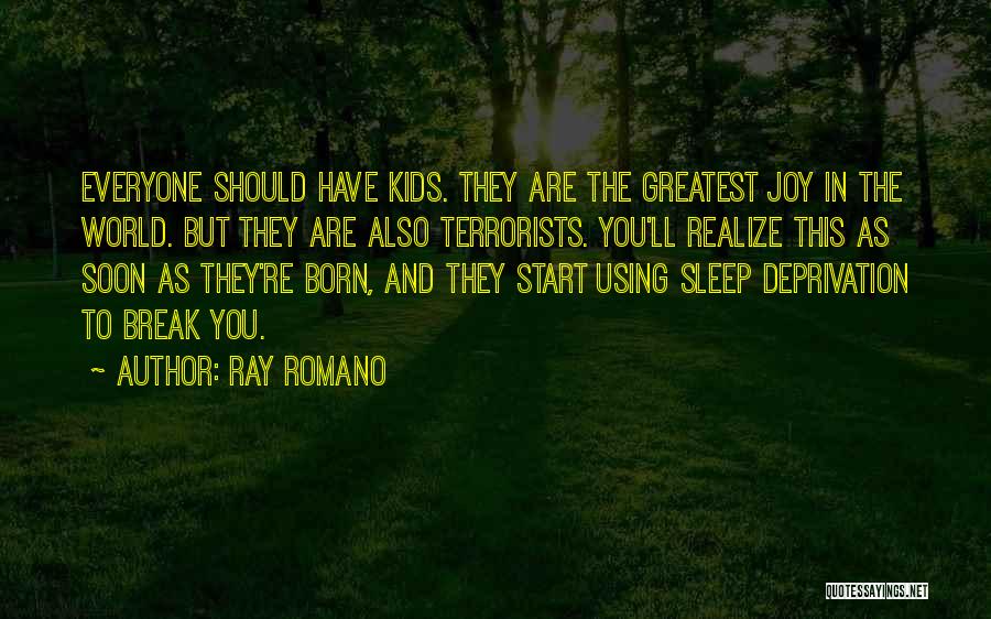 Ray Romano Quotes 1331123