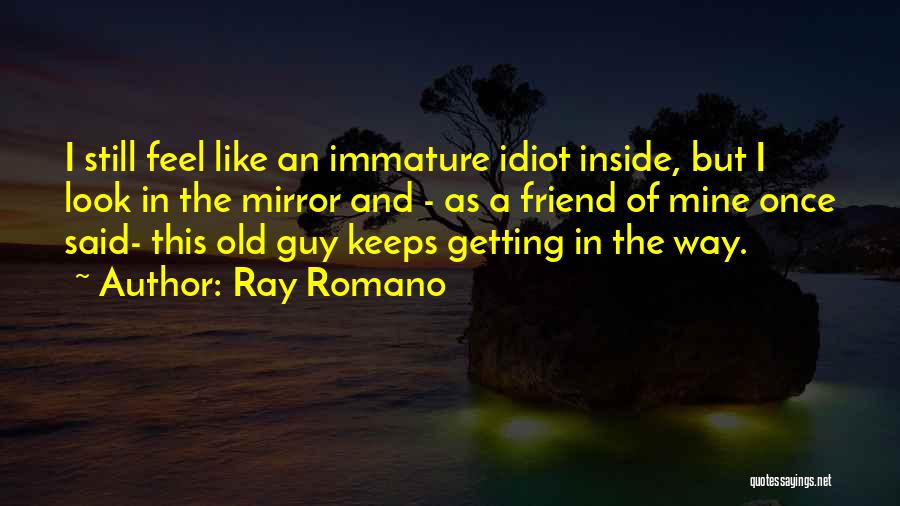 Ray Romano Quotes 705107