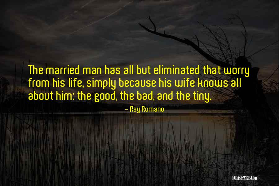 Ray Romano Quotes 860103