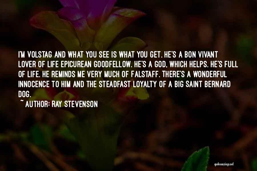 Ray Stevenson Quotes 1378898