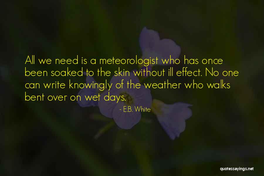 Raydeen Cartoon Quotes By E.B. White Raydeen Cartoon Quotes By E.B. White