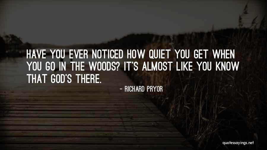 Rayders Quotes By Richard Pryor Rayders Quotes By Richard Pryor