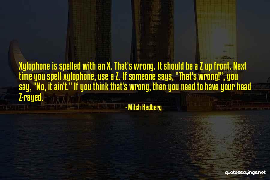 Rayed Quotes By Mitch Hedberg Rayed Quotes By Mitch Hedberg